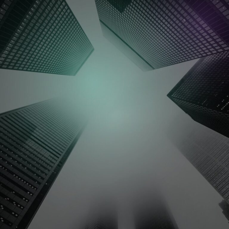 ai risk discount software company valuation | Software Pricing Partners
